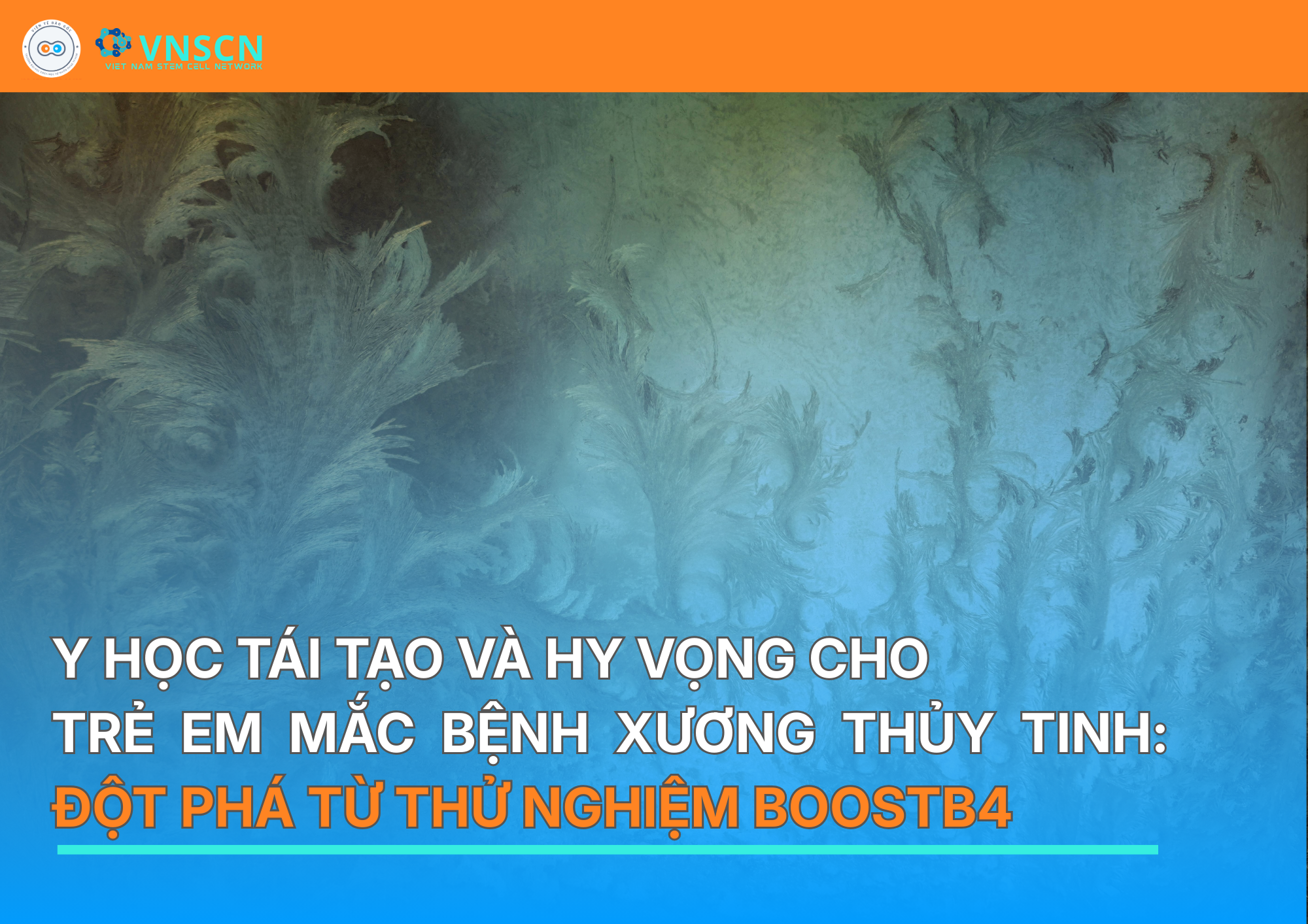 Y học tái tạo và hy vọng cho trẻ mắc bệnh xương thủy tinh