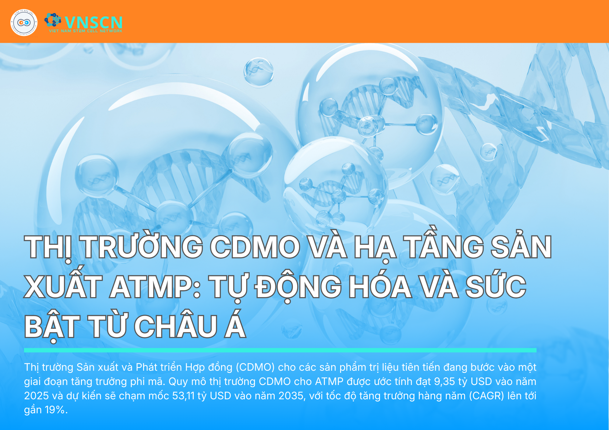 Thị trường CDMO và Hạ tầng Sản xuất ATMP: Tự động hóa và Sức bật từ Châu Á