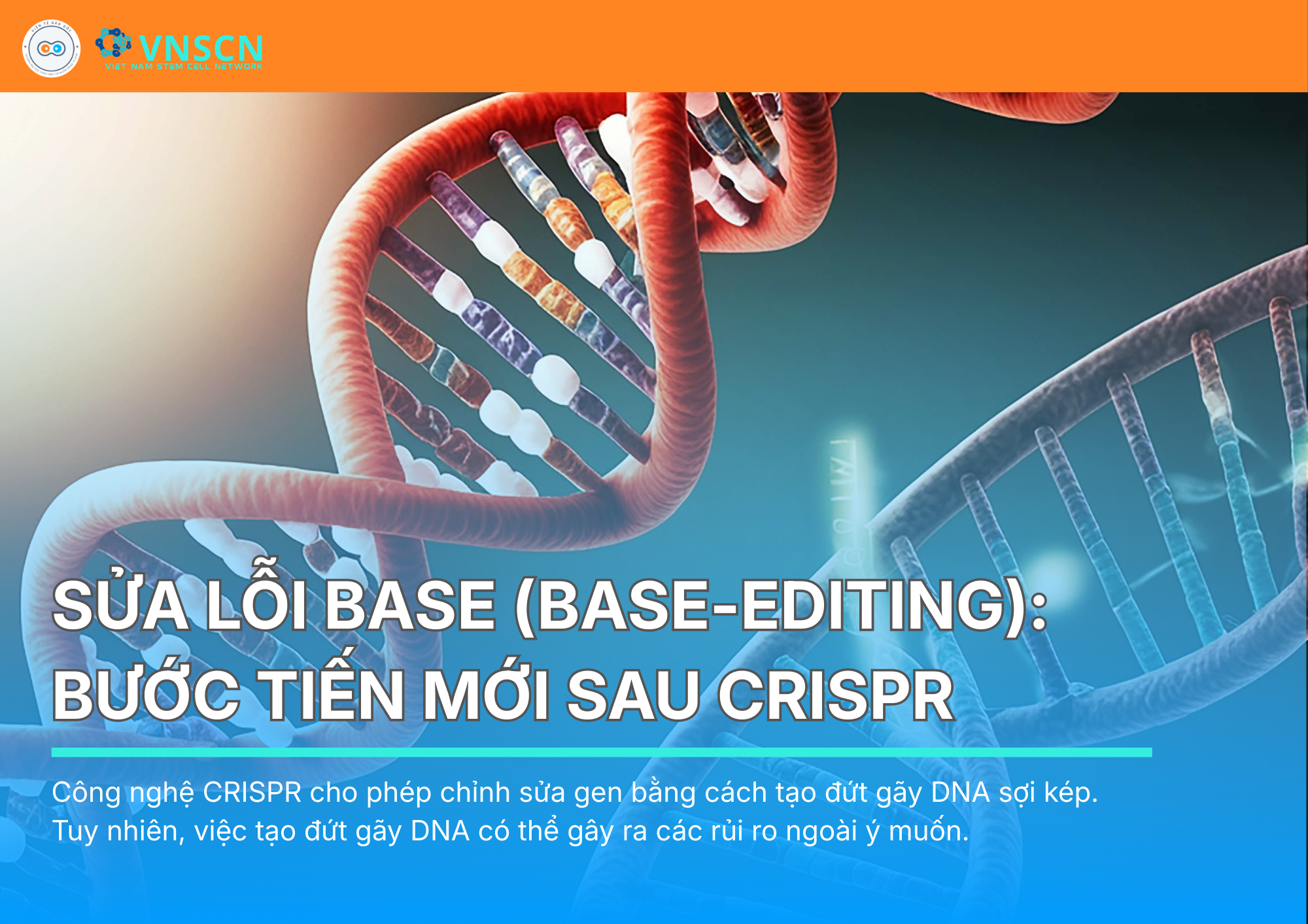 Sửa lỗi base (Base-Editing): Bước tiến mới sau CRISPR trong điều trị bệnh bạch cầu cấp tính nan y