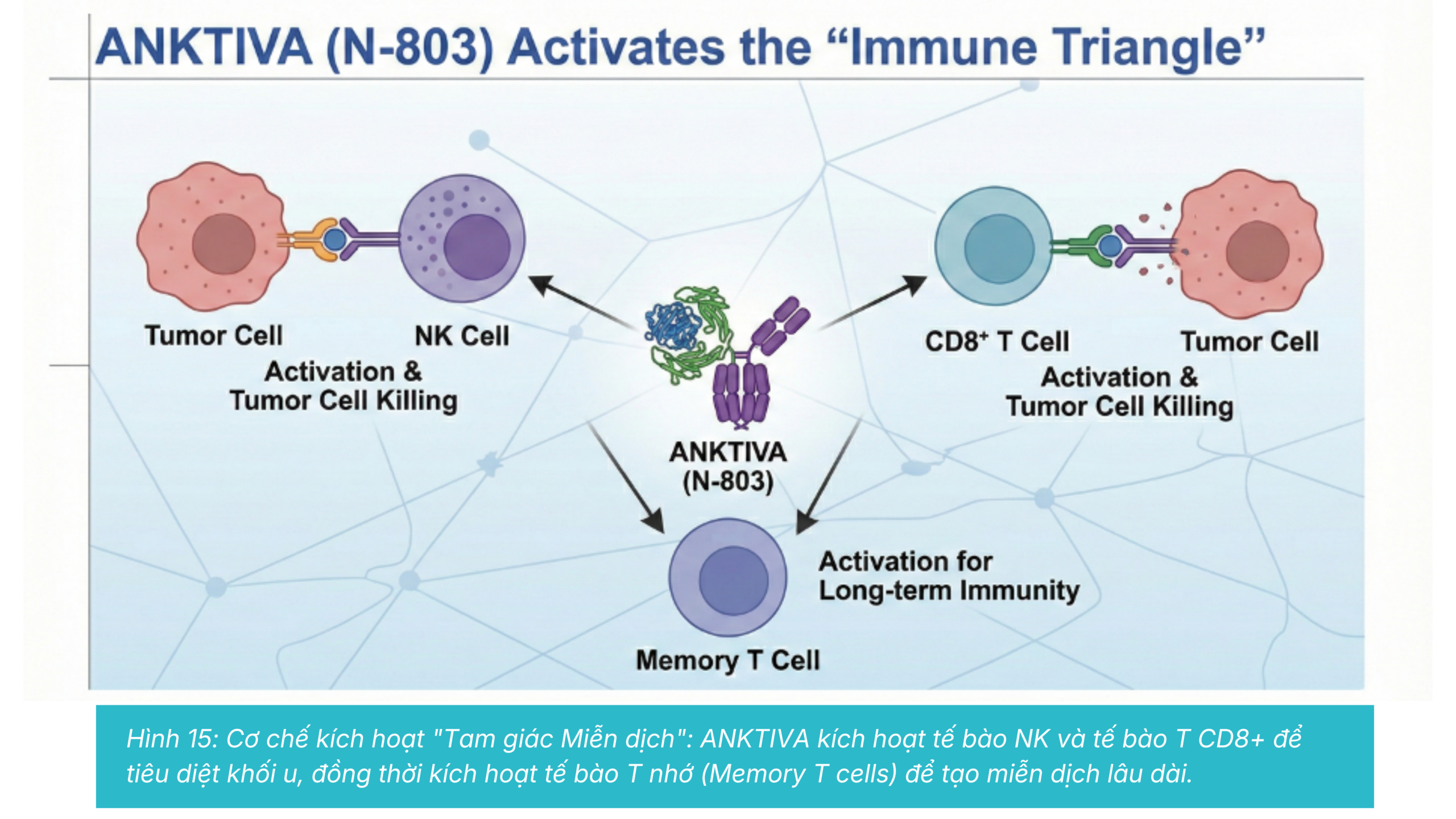 ANKTIVA và Sự Mở Rộng Thị Trường Châu Âu Của ImmunityBio