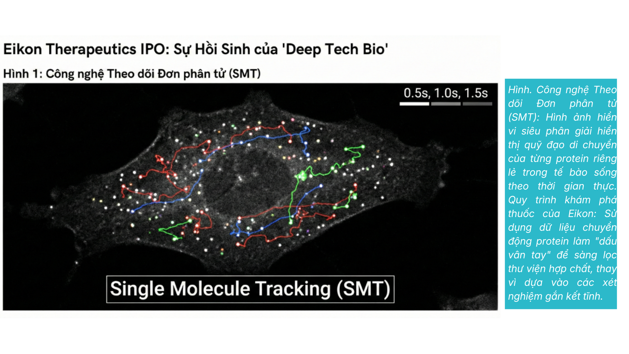 Eikon Therapeutics IPO: Sự Hồi Sinh của “Deep Tech Bio”