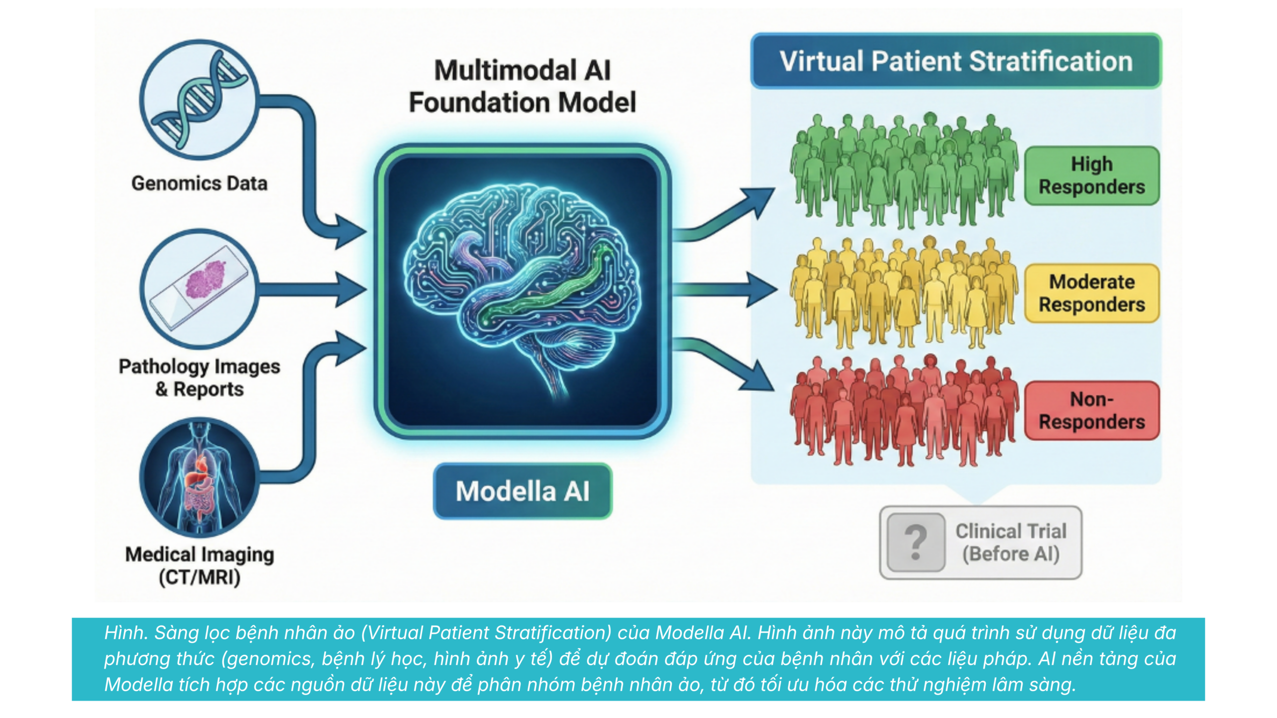 Trí Tuệ Nhân Tạo (AI) Trong R&D ATMP: Từ Generative Text Đến Generative Biology