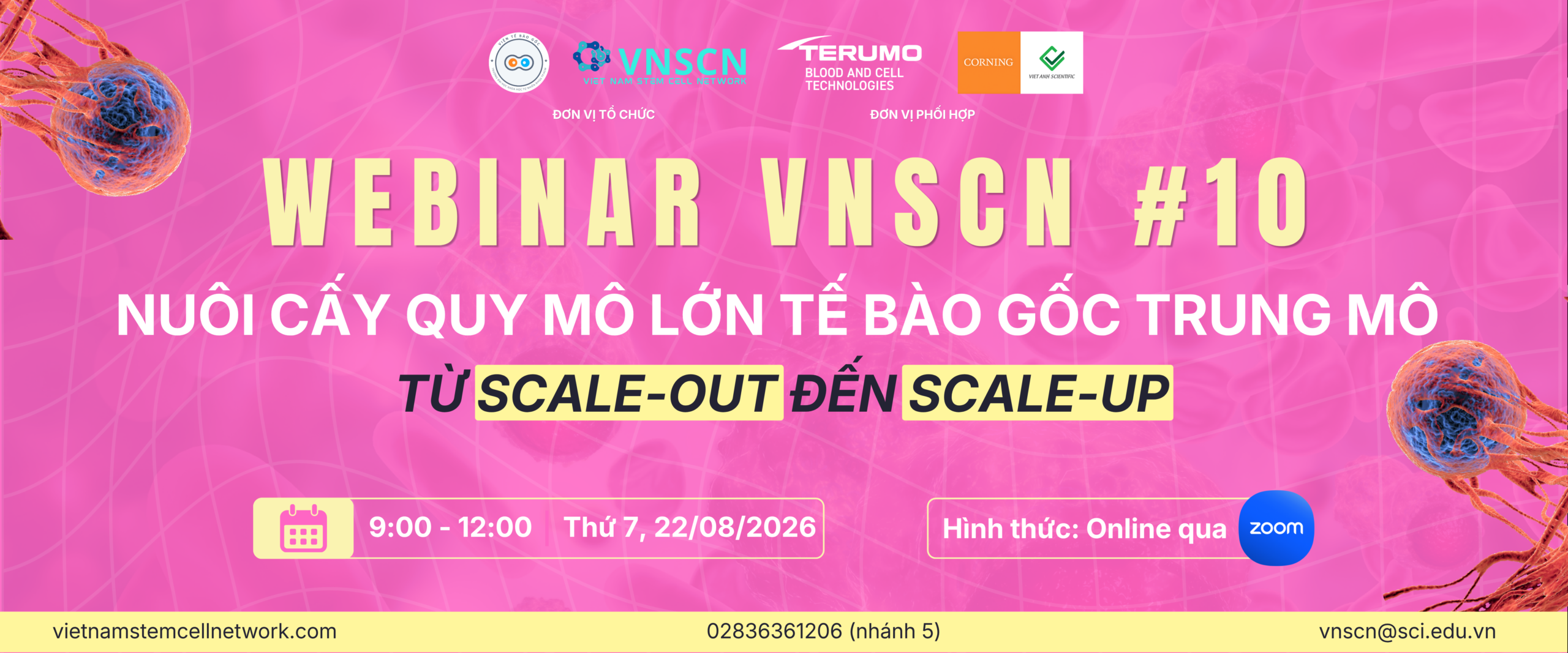 Webinar VNSCN #10: Nuôi cấy quy mô lớn tế bào gốc trung mô từ scale-out đến scale-up